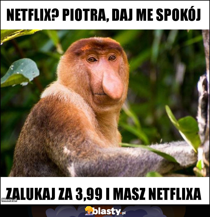 NETFLIX? Piotra, daj me spokój NETFLIX? Piotra, daj me spokój