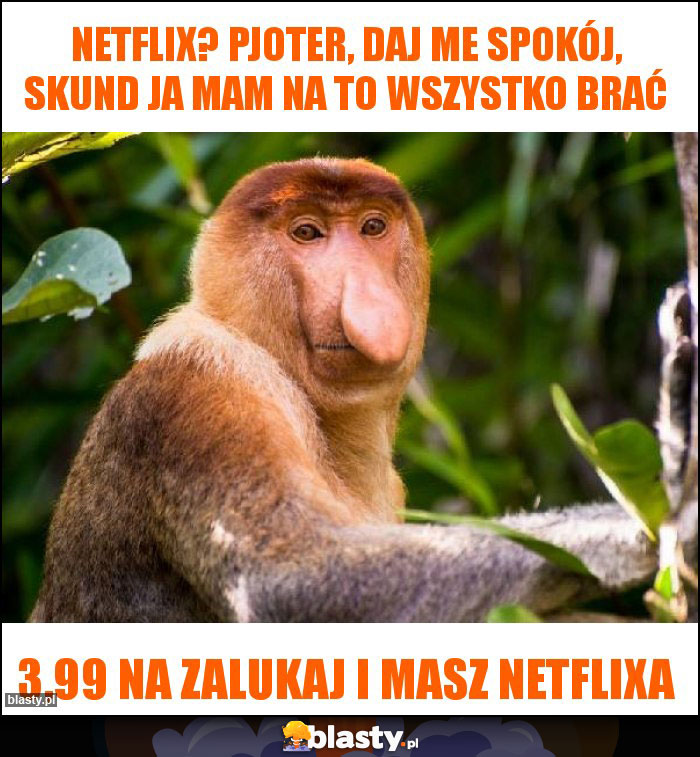 NETFLIX? Pjoter, daj me spokój, skund ja mam na to wszystko brać NETFLIX? Pjoter, daj me spokój, skund ja mam na to wszystko brać