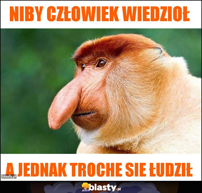 Niby człowiek wiedzioł Niby człowiek wiedzioł