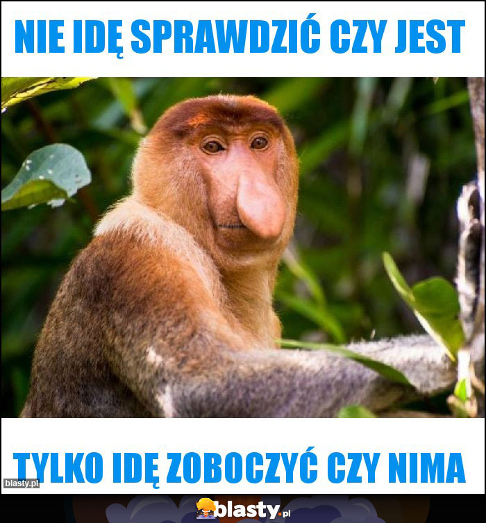 NIE IDĘ SPRAWDZIĆ CZY JEST NIE IDĘ SPRAWDZIĆ CZY JEST