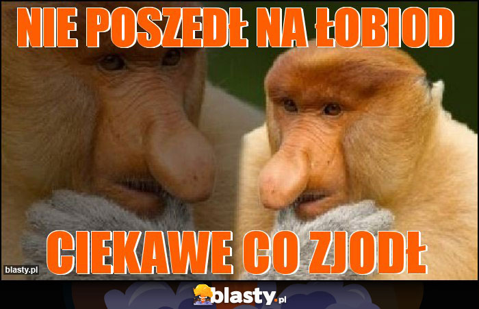 Nie poszedł na Łobiod Nie poszedł na Łobiod