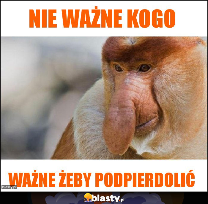 Nie ważne kogo Nie ważne kogo