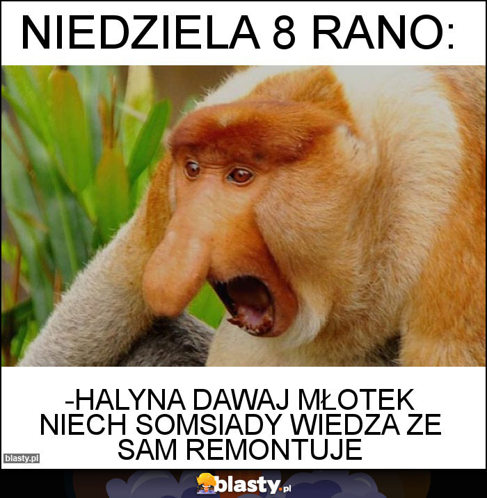 Niedziela 8 rano: Niedziela 8 rano: