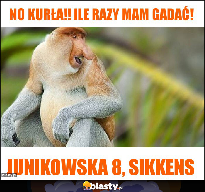 No Kurła!! Ile razy mam gadać! No Kurła!! Ile razy mam gadać!