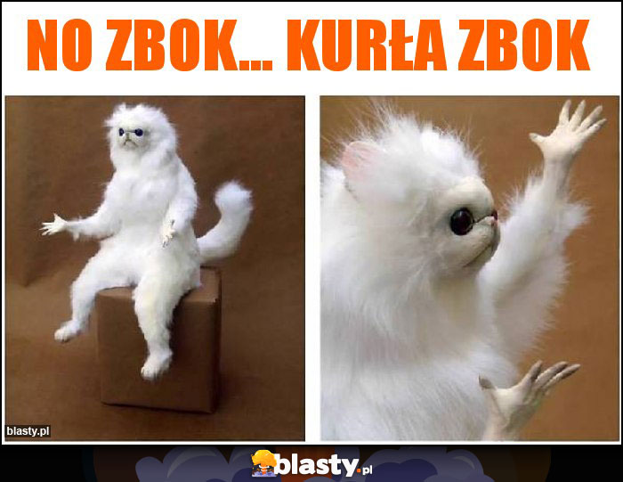 No zbok... Kurła zbok No zbok... Kurła zbok
