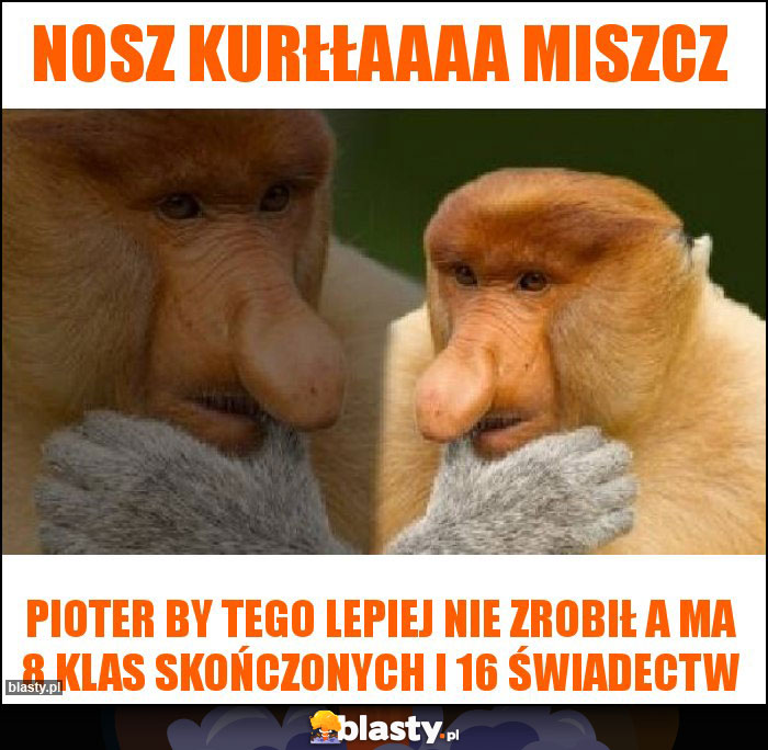 Nosz kurłłaaaa miszcz Nosz kurłłaaaa miszcz