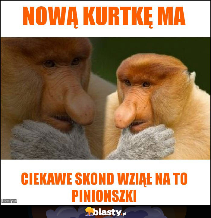 Nową kurtkę ma Nową kurtkę ma