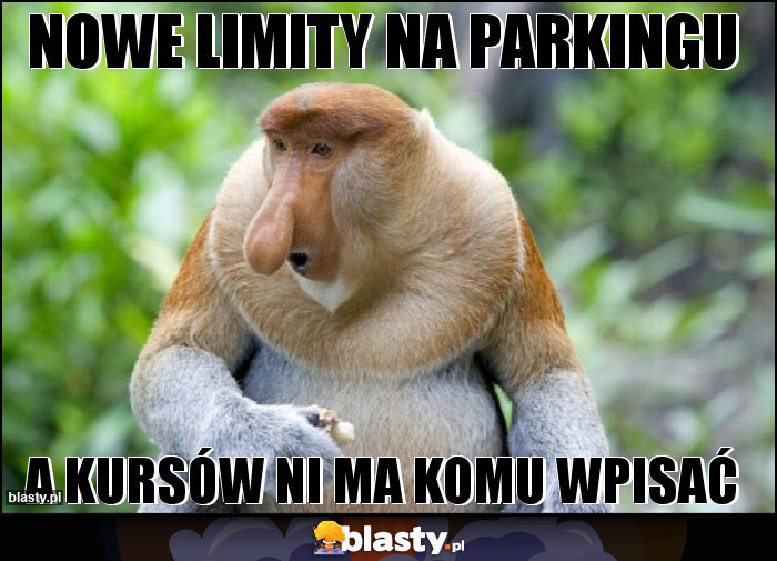 nowe limity na parkingu nowe limity na parkingu