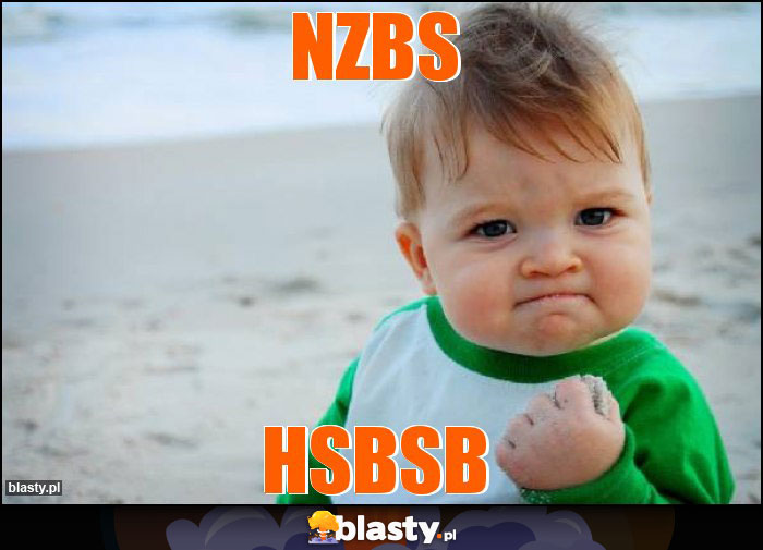Nzbs