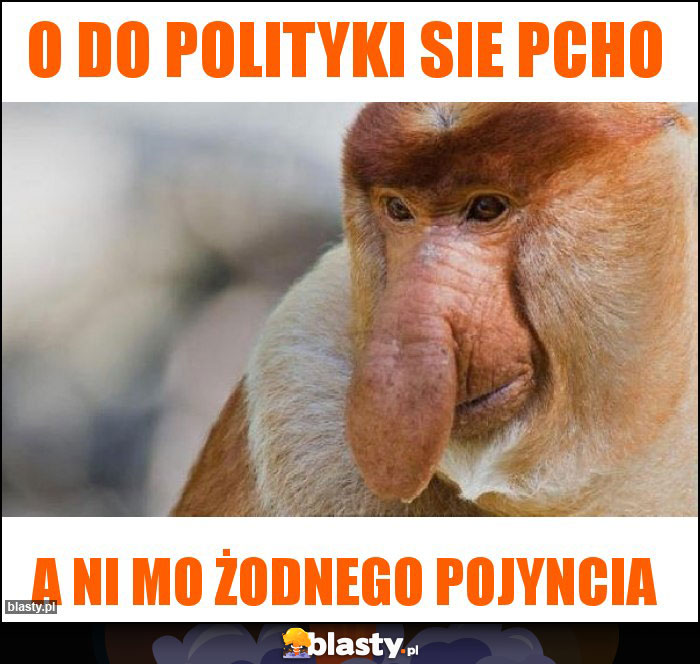 O do polityki sie pcho O do polityki sie pcho