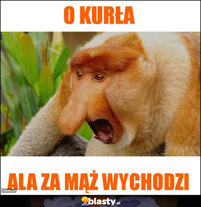 O KURŁA