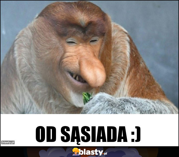 Od sąsiada :) Od sąsiada :)