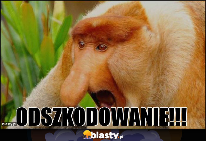 ODSZKODOWANIE!!! ODSZKODOWANIE!!!