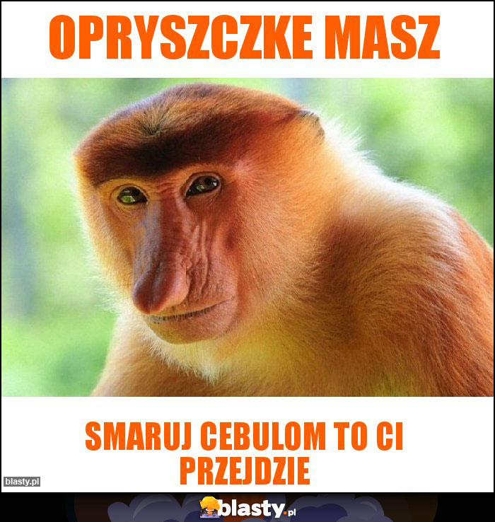 Opryszczke masz Opryszczke masz