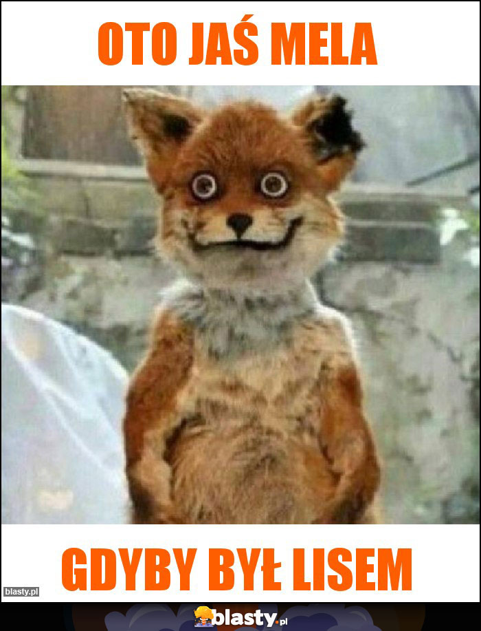 OTO JAŚ MELA OTO JAŚ MELA