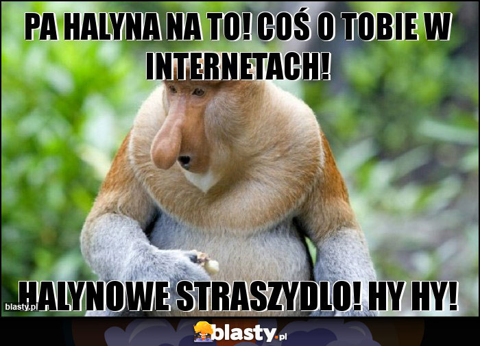 Pa halyna na to! Coś o tobie w internetach! Pa halyna na to! Coś o tobie w internetach!
