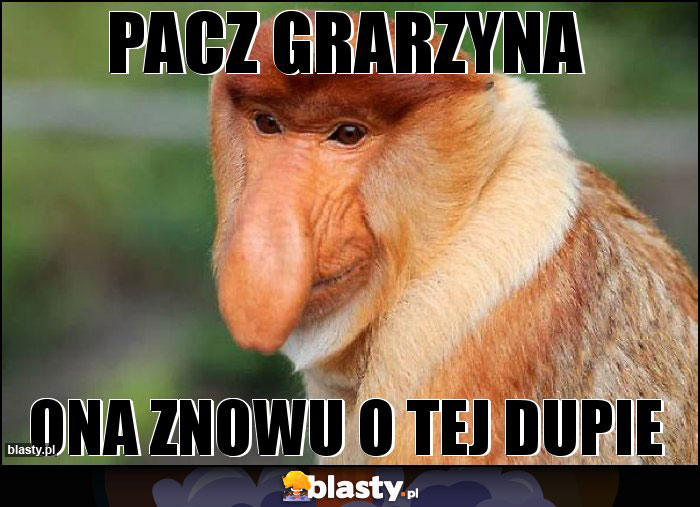 Pacz Grarzyna Pacz Grarzyna