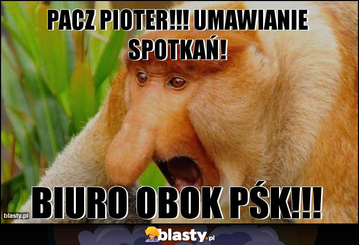 PACZ PIOTER!!! UMAWIANIE SPOTKAŃ! PACZ PIOTER!!! UMAWIANIE SPOTKAŃ!