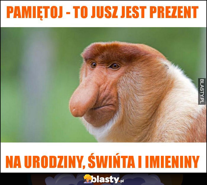 Pamiętoj - to jusz jest prezent Pamiętoj - to jusz jest prezent