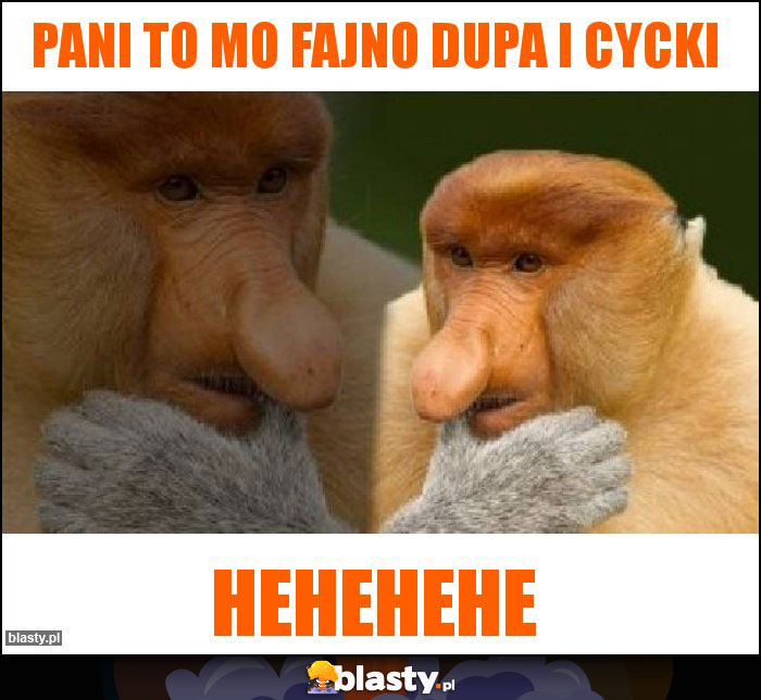 Pani to mo fajno dupa i cycki Pani to mo fajno dupa i cycki