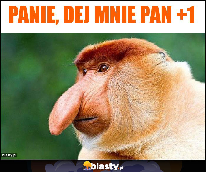 Panie, dej mnie Pan +1 Panie, dej mnie Pan +1