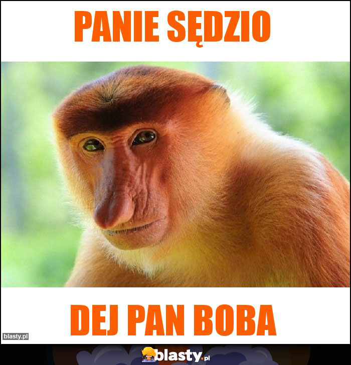 Panie sędzio Panie sędzio