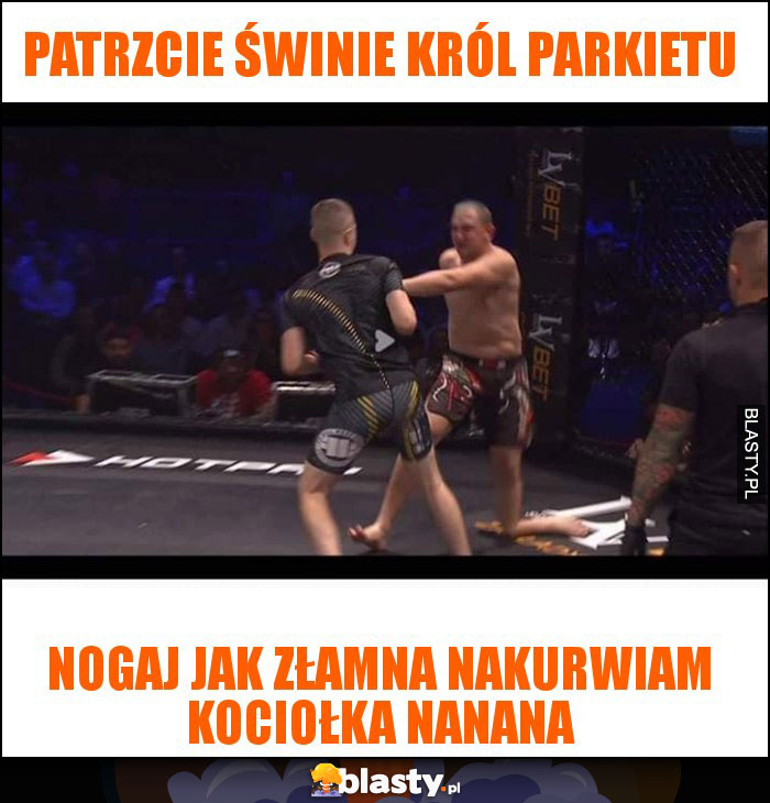 patrzcie świnie król parkietu patrzcie świnie król parkietu