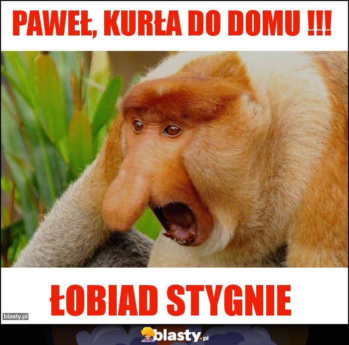 PAWEŁ, KURŁA DO DOMU !!! PAWEŁ, KURŁA DO DOMU !!!