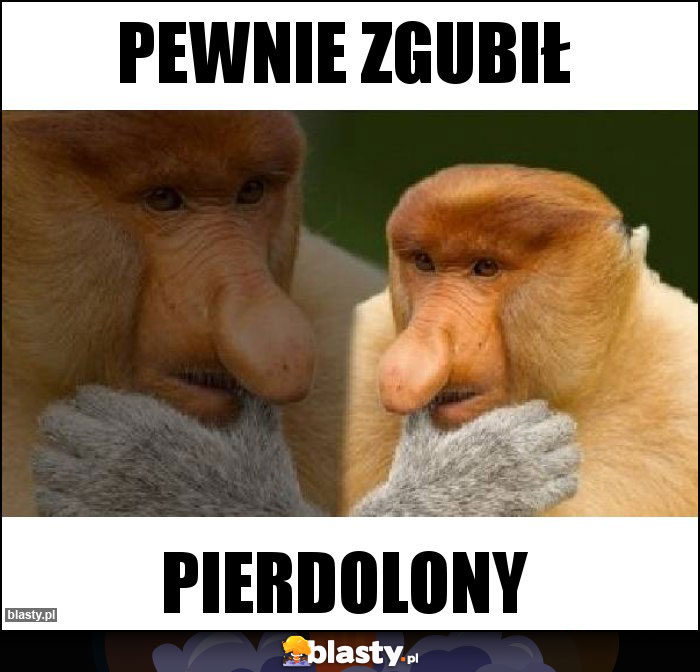 Pewnie zgubił Pewnie zgubił