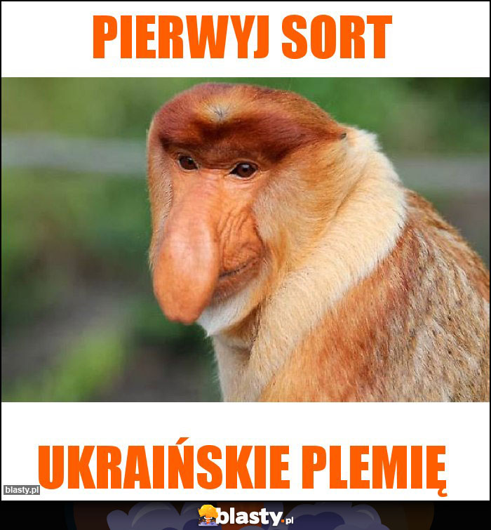 Pierwyj sort