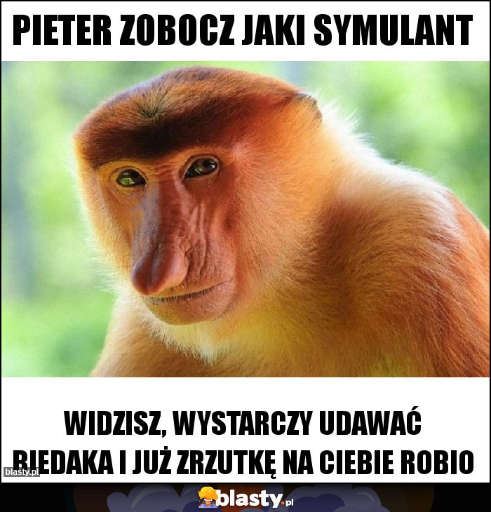 Pieter zobocz jaki symulant Pieter zobocz jaki symulant