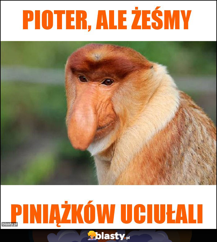 Pioter, ale żeśmy Pioter, ale żeśmy