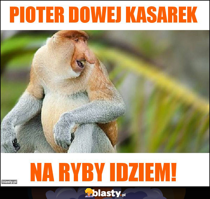 Pioter dowej kasarek Pioter dowej kasarek
