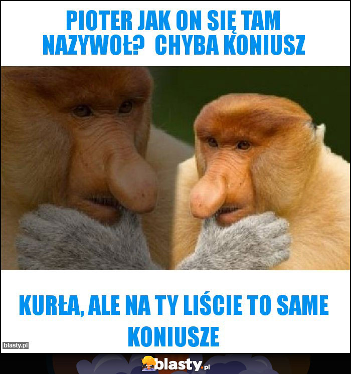 Pioter jak on się tam nazywoł? Chyba Koniusz Pioter jak on się tam nazywoł? Chyba Koniusz