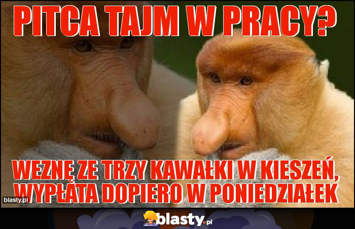 Pitca tajm w pracy? Pitca tajm w pracy?