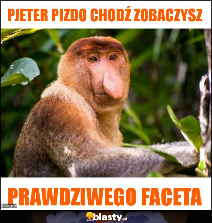 PJETER PIZDO CHODŹ ZOBACZYSZ PJETER PIZDO CHODŹ ZOBACZYSZ