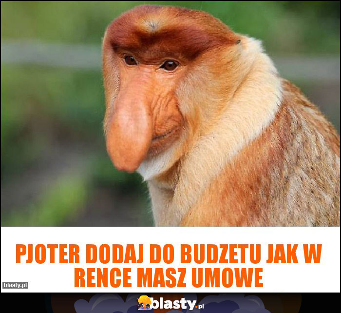 PJOTER DODAJ DO BUDZETU JAK W RENCE MASZ UMOWE