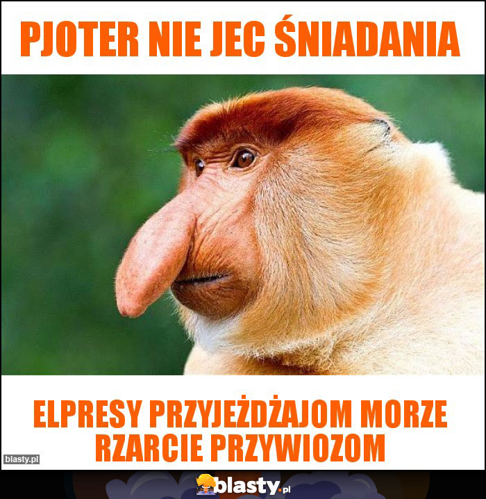 Pjoter nie jec śniadania Pjoter nie jec śniadania