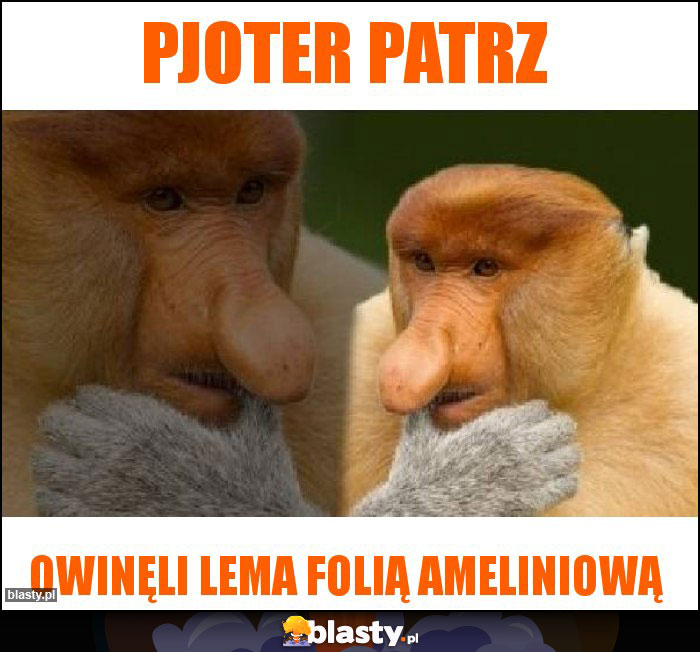 Pjoter patrz Pjoter patrz