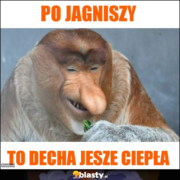 Po Jagniszy Po Jagniszy