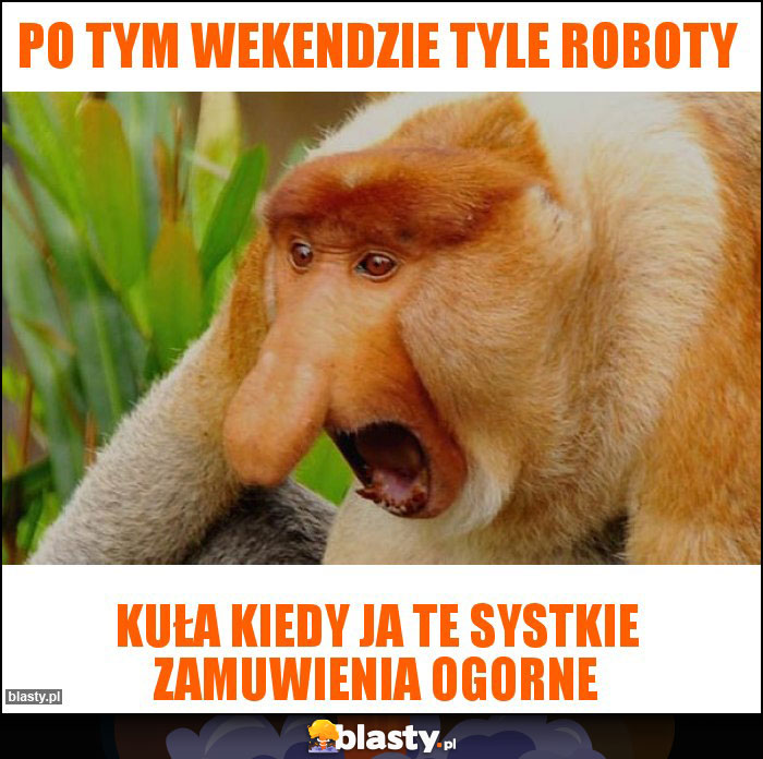 Po tym wekendzie tyle roboty Po tym wekendzie tyle roboty
