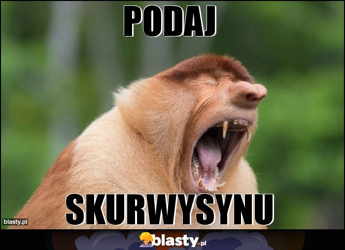 PODAJ
