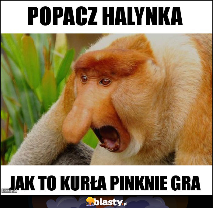 POPACZ HALYNKA POPACZ HALYNKA