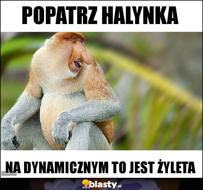 Popatrz Halynka Popatrz Halynka