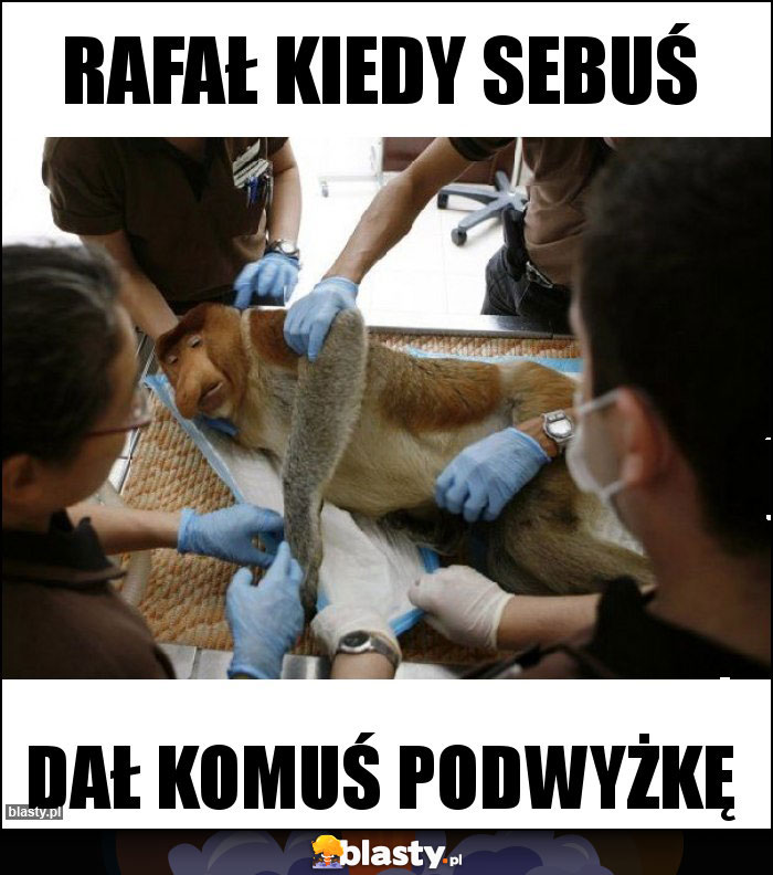Rafał kiedy sebuś Rafał kiedy sebuś