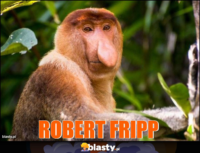 ROBERT FRIPP ROBERT FRIPP