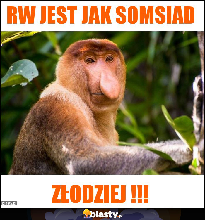 RW jest jak somsiad RW jest jak somsiad