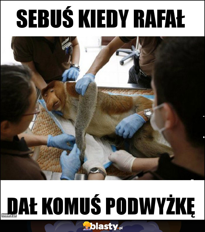 Sebuś kiedy rafał Sebuś kiedy rafał