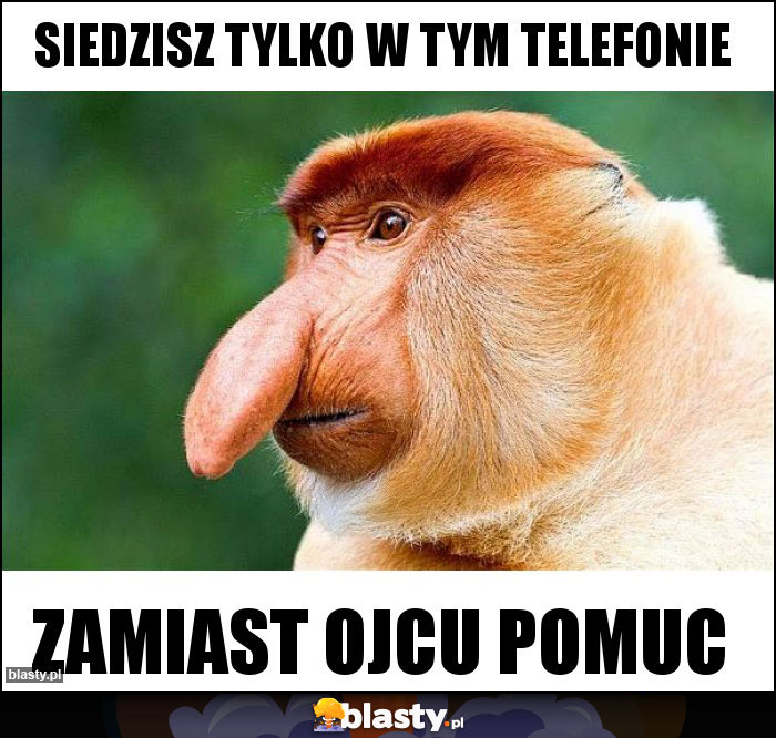 Siedzisz tylko w tym telefonie Siedzisz tylko w tym telefonie