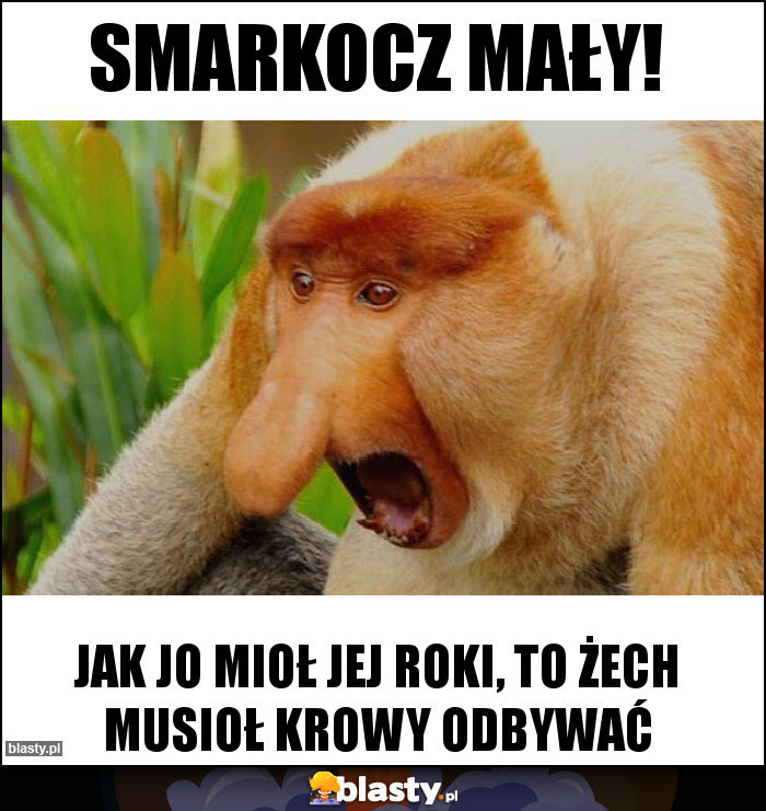 Smarkocz mały! Smarkocz mały!